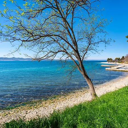 Kolovare Garden Oasis - First Row By Sea Zara