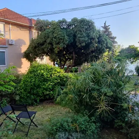 アパート Kolovare Garden Oasis - First Row By Sea ザダル